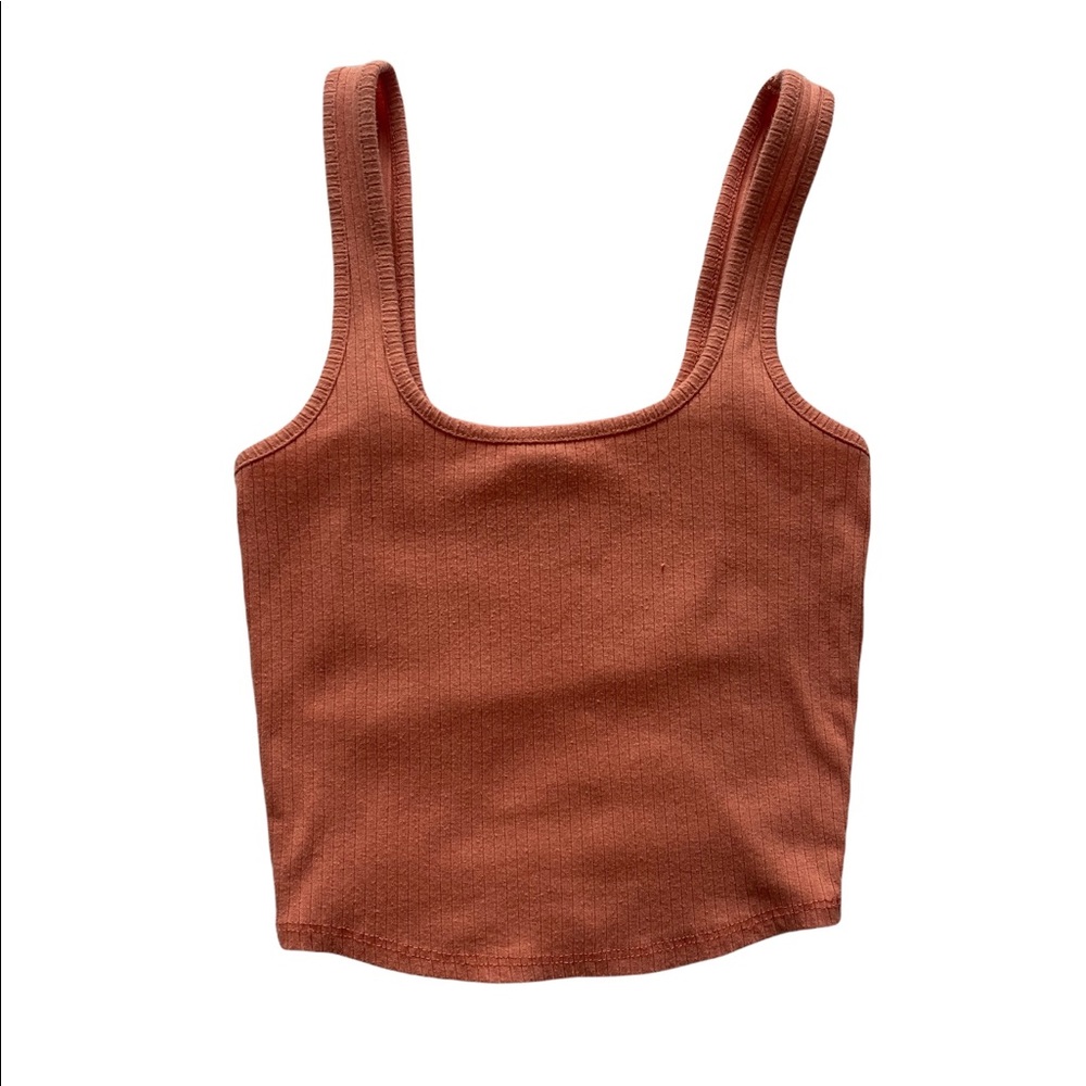 Basic Rose Crop Top